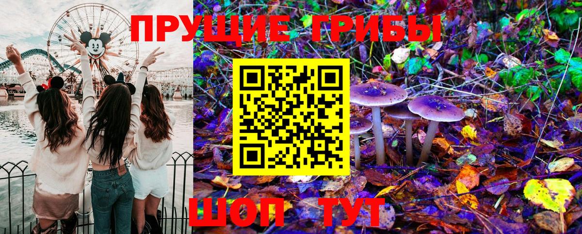 Алушта  Галлюциногенные грибы Psilocybe  Вход с VPN 