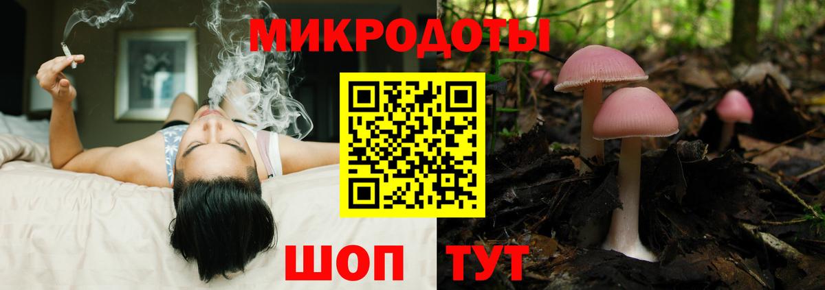 Псилоцибиновые грибы Cubensis Алушта